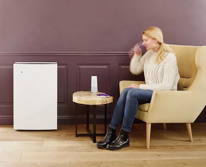 Blueair Pro L Air Purifier with SmokeStop Filter HEPA